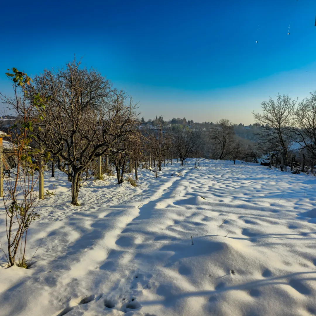 Vila Nera - vikendica na Banstolu sa đakuzijem i bazenom