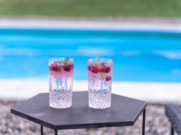 Fruska Pool House