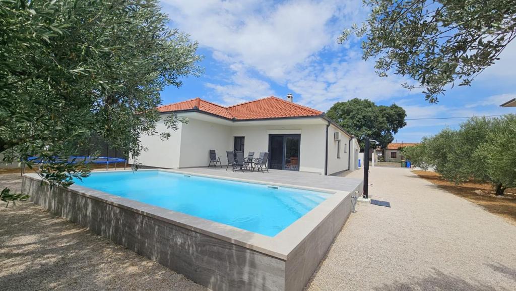 Marthas-Oliveyard-4