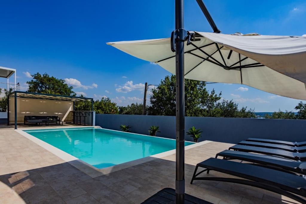 Villa-Shark-Maslenica-14
